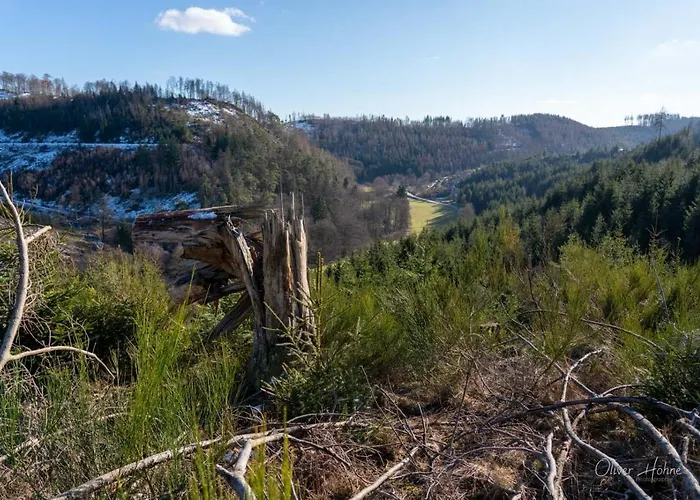 Am Waldrand Appartement Bad Laasphe