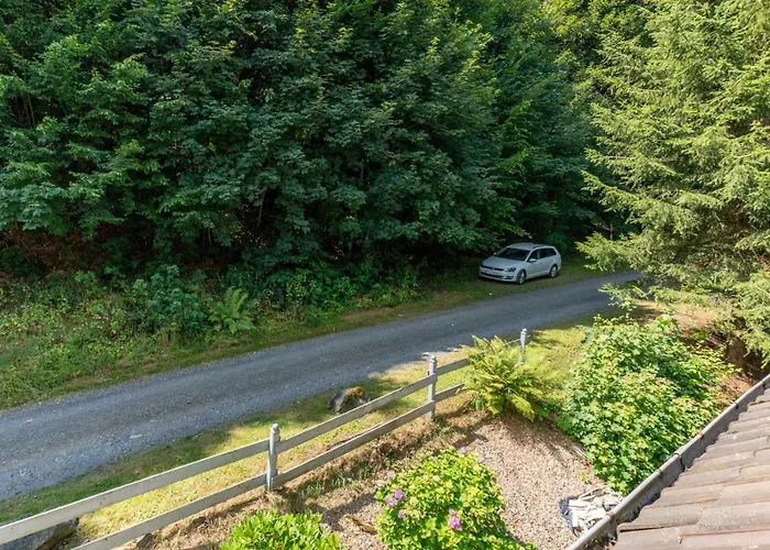 Am Waldrand Apartment