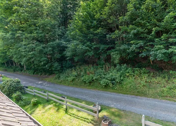 Appartement Am Waldrand Bad Laasphe